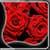 Best Roses Live Wallpapers