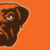 Cleveland Browns Smoke Effect Wallpaper