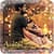 Ashiqui 2 Video Songs