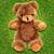 TeddyBear