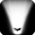 Bat Torch