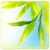 Galaxy Leaf Live HD Wallpaper