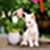 Pic of Nature photo frame