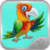 My Talking Parrot