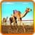 Camel Race 2016 3D