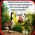 Hindi Good Morning