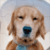 Dog Jigsaw Puzzle