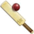 Cricket T20 Fever 3D FREE