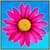 Flower Jumpy Line