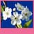 New Spring Live Wallpapers