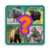 Easy Puzzle Animal