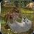 Wilder Animals Life Survival Sim