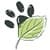Leaf Animals - Pet Adoption Service