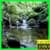 River and pond Video Live Wallpaper