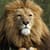 Amazing Wild Nature