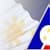 Philippines: Lifes Journey
