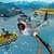 Sea Shark Hunting