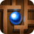 Maze Puzzle