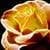 1061 Flowers Wallpapers