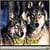 Wolves Lite