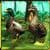 Duck Family Simulator 3D