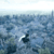 Assassins Creed Unity Walkthrough