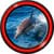 Dolphin Live Wallpapers Best