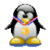 Tux Rider