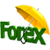 Forex Trading Focust