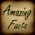 Amazing Facts 240x400