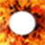 Fire frame