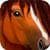 Ultimate Horse Simulator perfect