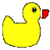 FInd The Duck