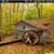 Small House in Forest