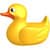Tim Duck
