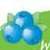 Pic Words Guess Puzzles Guess It
