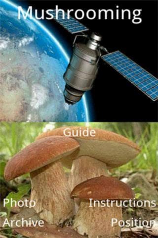 907376_2.jpg