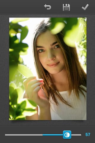 467924_5.jpg