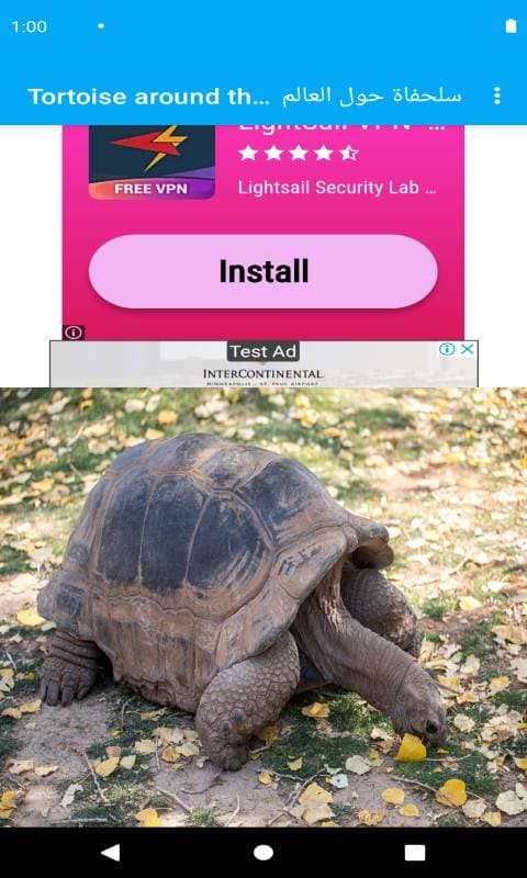 986160_5.jpg