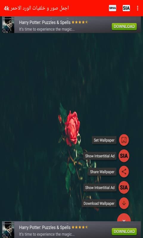 983018_4.jpg