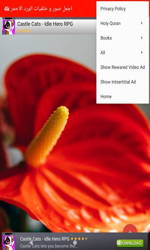 983018_6.jpg