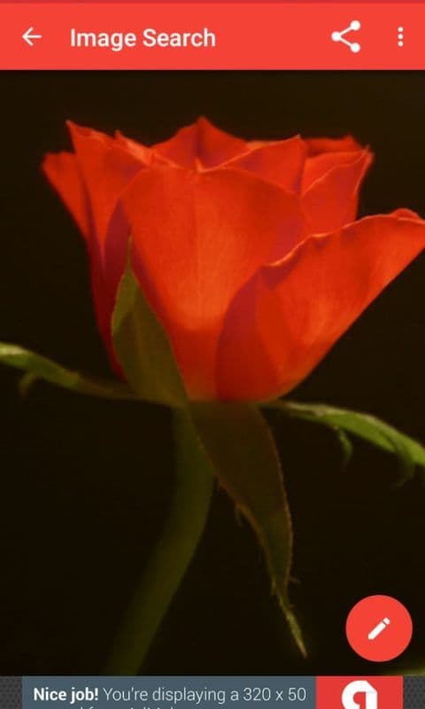 874827_3.jpg