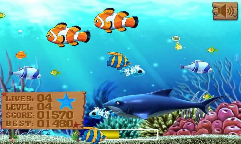 817098_4.jpg