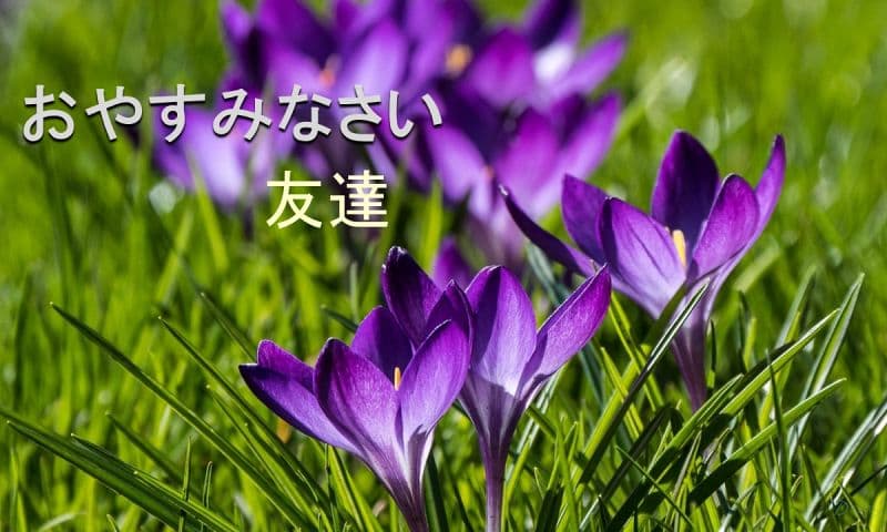 993929_5.jpg