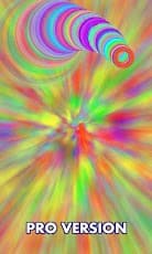 217198_6.jpg