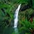 Opaekaa falls - Hawaii Wallpaper 