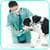 Dog Seizures Treatment