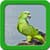 Parrot Live Wallpapers