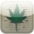 Marijuana Dictionary