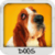 Dogs Wallpapers by Nisavac Wallpapers